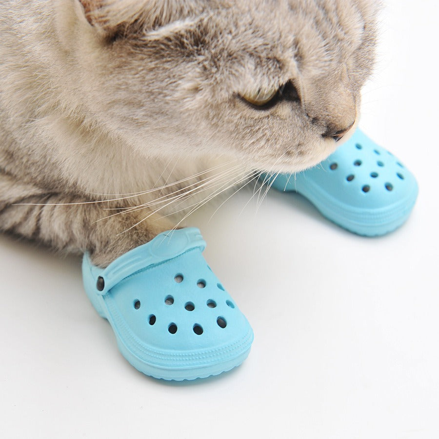Chaussures Premium pour Animaux de Compagnie - Élégantes et Confortables