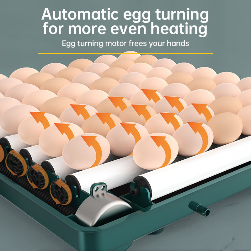 Incubadora de huevos 9-48 con giro automático y control de humedad