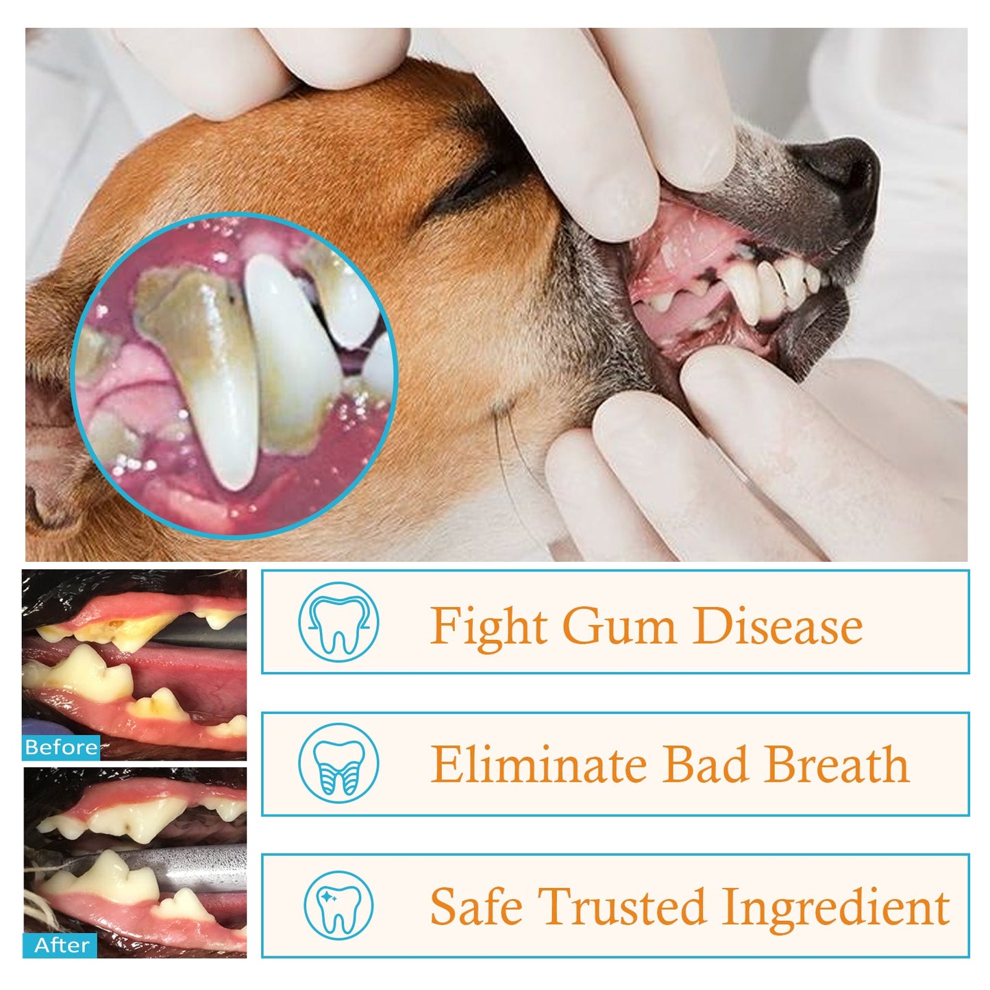 Premium Pet Dental Cleaning Finger Set for Dogs and Cats