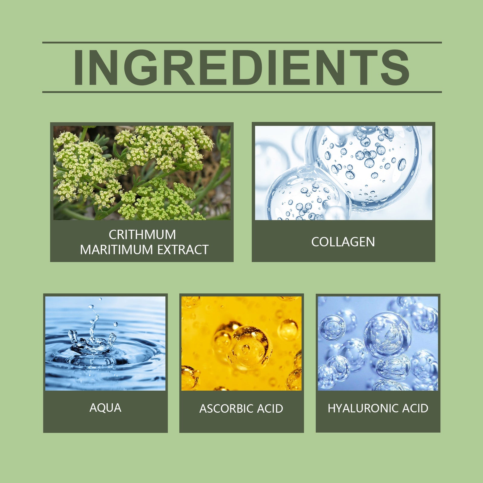 Sea Fennel Collagen Essence, Moisturizing And Repairing Facial Skin Daily Skin Care Moisturizing Essence - Korvel