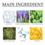 Salicylic Acid Facial Mask Gentle Cleansing Mask To Lighten Acne, Seal And Tighten Pores - Korvel