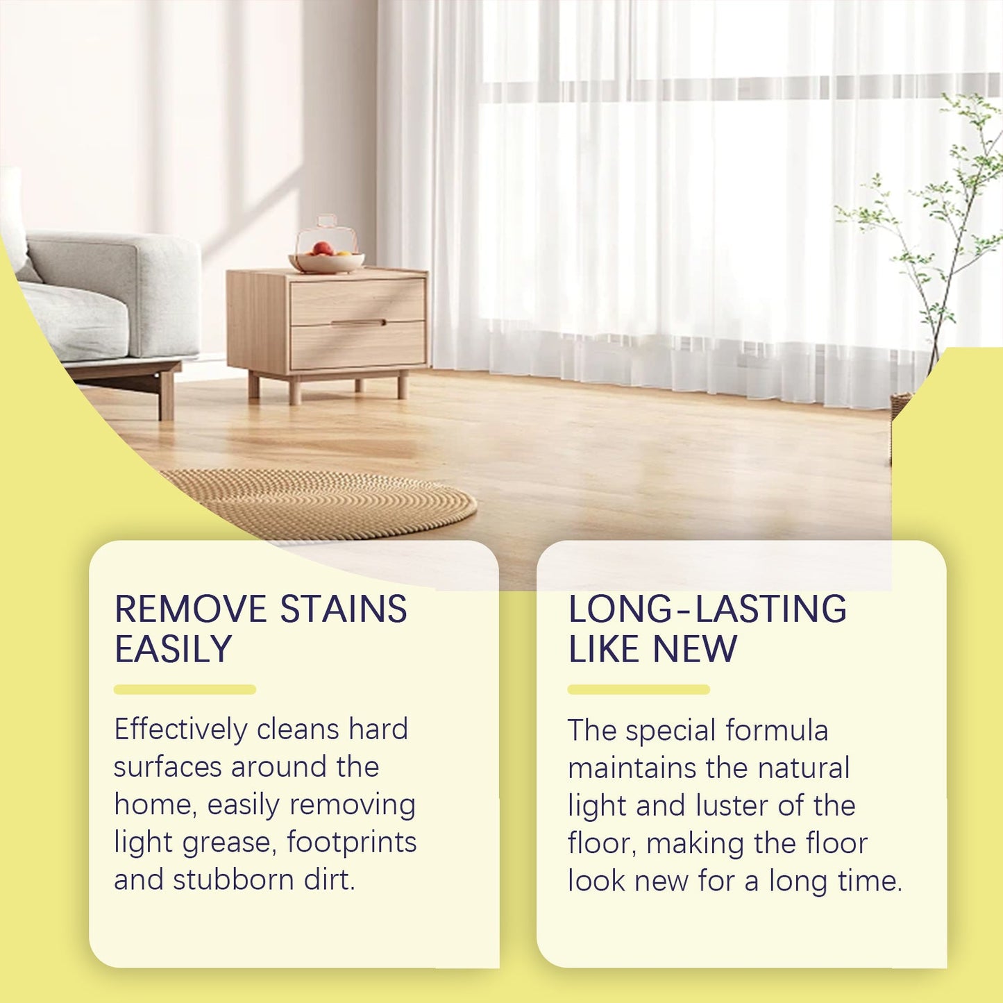 Premium Anti-Fly Floor Cleaner with Fresh Fragrance