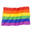 Drapeau arc-en-ciel 3' x 5' - Célébrez la diversité