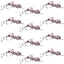 Fat Albert Pink Foam Grasshopper Flies - 12 Pack Size 10 - Korvel
