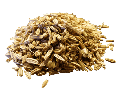 Whole Fennel Seeds - Aromatic Spice for Health & Flavor - Korvel