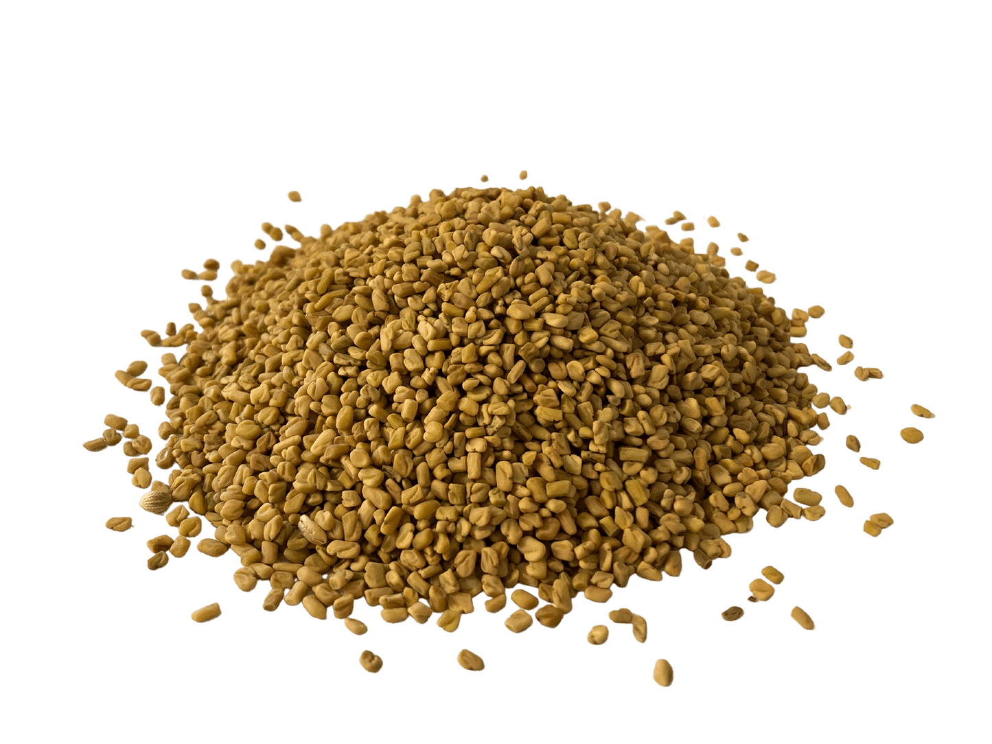 Whole Fenugreek Seeds for Culinary and Health Benefits - Korvel