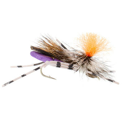 Vibrant Purple Feth Hopper - Premium Foam Grasshopper Flies - 12 Pack Size 10 - Korvel