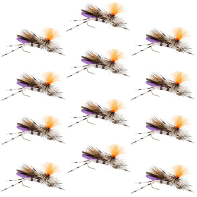 Vibrant Purple Feth Hopper - Premium Foam Grasshopper Flies - 12 Pack Size 10 - Korvel