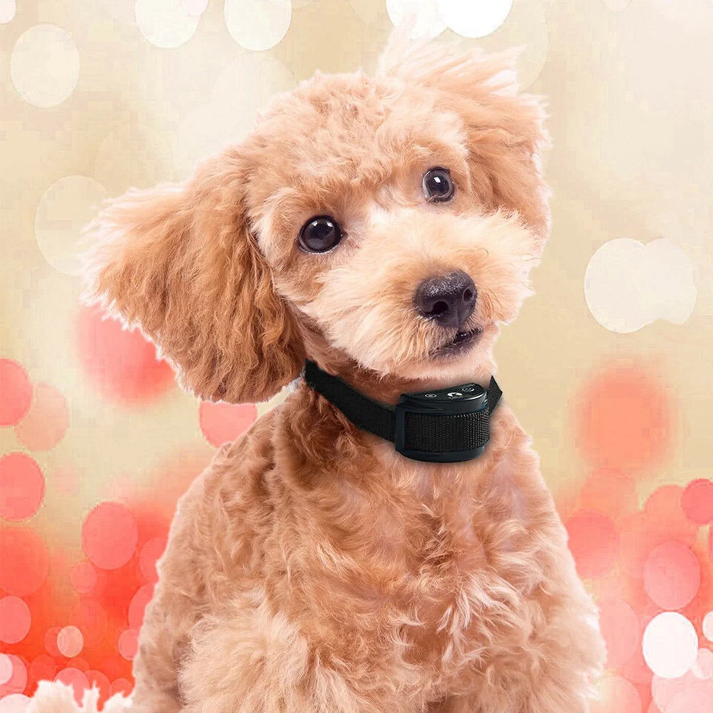 Premium Automatic Anti-Bark Control Collar for Dogs