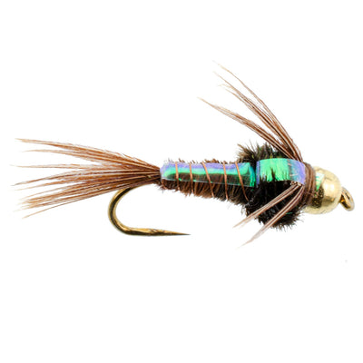 Premium Barbless Bead Head Pheasant Tail Nymph Flies - 12 Pack, Size 12 - Korvel