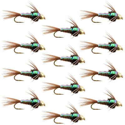 Premium Barbless Bead Head Pheasant Tail Nymph Flies - 12 Pack, Size 12 - Korvel