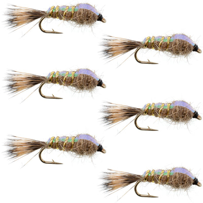 Premium Gold Ribbed Hares Ear Nymphs - Set of 6 Classic Flies - Size 12 - Korvel