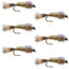 Premium Weighted Gold Ribbed Hare's Ear Nymphs - Pack of 6 Flies - Size 18 - Korvel