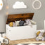 Gbruno Flip-top Storage Chest with Pneumatic Rod - White