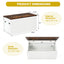 Gbruno Flip-top Storage Chest with Pneumatic Rod - White