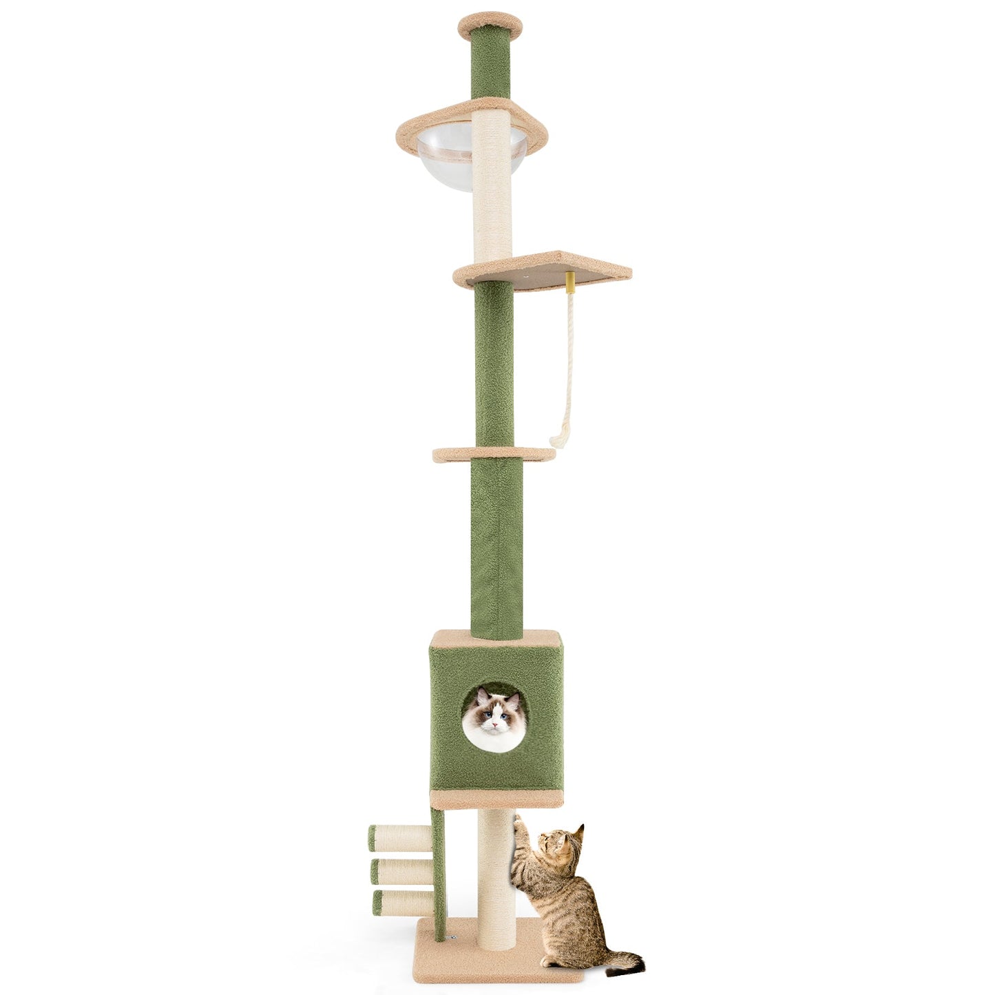 Árbol para gatos ajustable de suelo a techo en verde