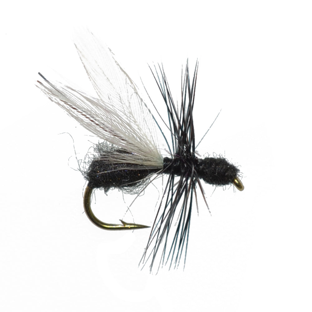 Essential Terrestrial Dry Fly Set - 10 Premium Fishing Flies for Trout and Bass - Korvel
