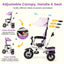 Folding Tricycle Baby Stroller with Reversible Seat - Pink
