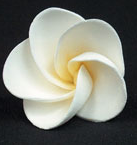 Frangipani Flower Decorations - Medium White - 36ct