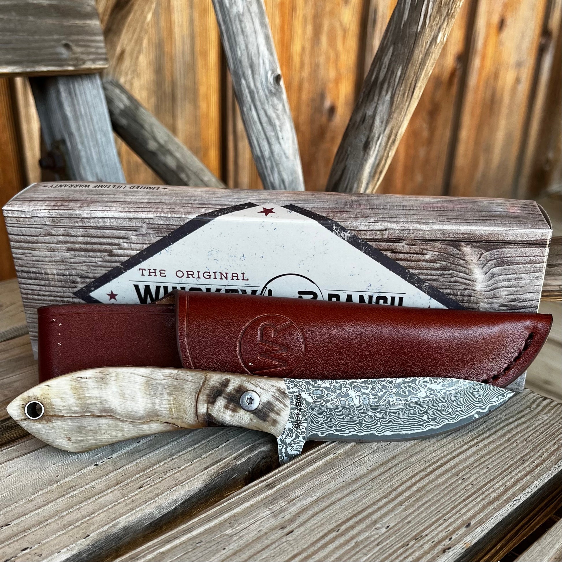 Versatile Ramhorn Drop Tine Knife for Outdoor Adventures - Korvel