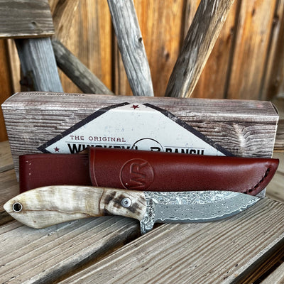 Versatile Ramhorn Drop Tine Knife for Outdoor Adventures - Korvel