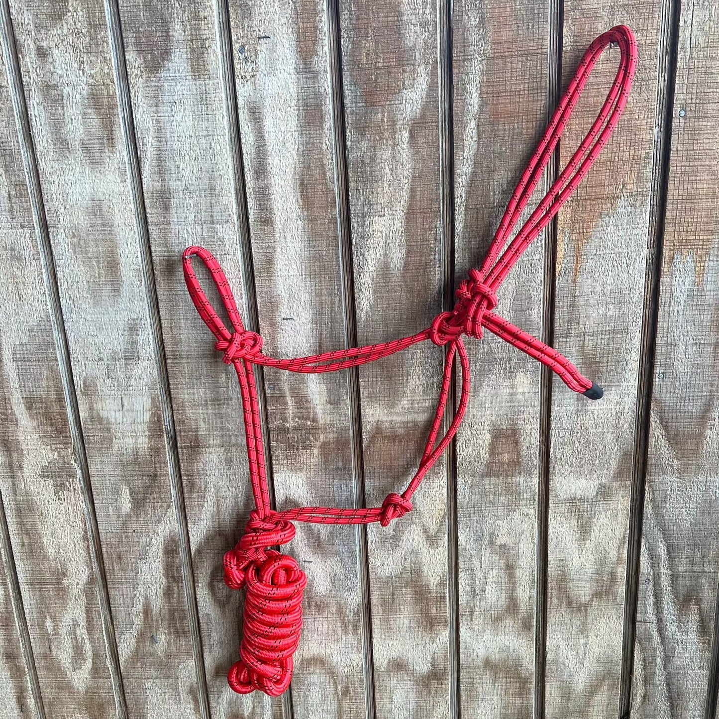 Premium Cowboy Knot Halter with 8' Lead Rope