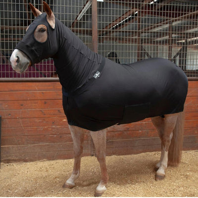 Ultimate Full Body Slinky | Classic Equine Comfort - Korvel