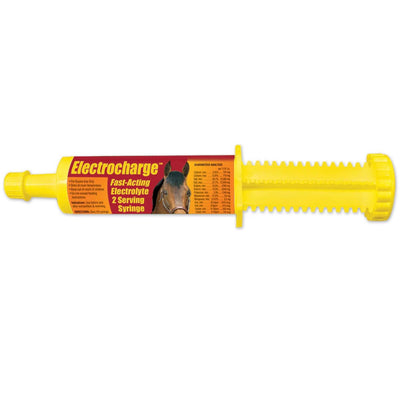Long-Lasting Electrocharge Lubrication Paste for Horses - Korvel
