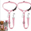 Dog Seat Belt Harness - Premium Safety for Your Pet