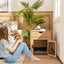 Chenil élégant de style mobilier avec tiroir et lit amovible