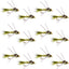 Tungsten Bead Head Rubber Legs Olive Gold-Ribbed Hare's Ear Trout Fly Nymph - 1 Dozen Flies Hook Size 16