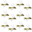 Premium Tungsten Bead Head Rubber Legs Olive Gold-Ribbed Hare's Ear Nymph - 12 Pack Size 14 - Korvel