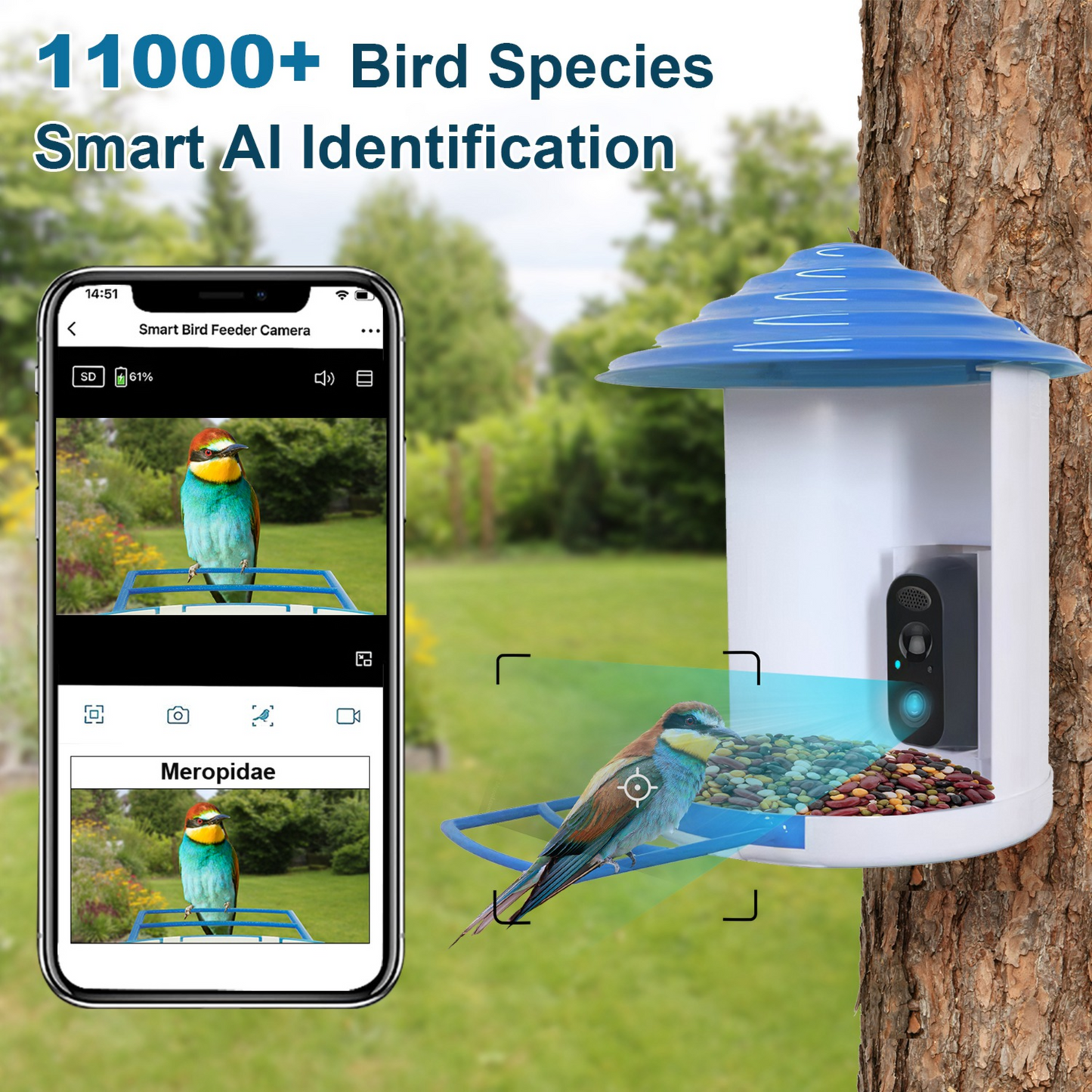 GBruno Smart Bird Feeder with HD Camera