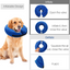 Collier Inflatable Protecteur pour Chien GBruno