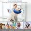 Collier Inflatable Protecteur pour Chien GBruno