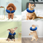 Collier Inflatable Protecteur pour Chien GBruno
