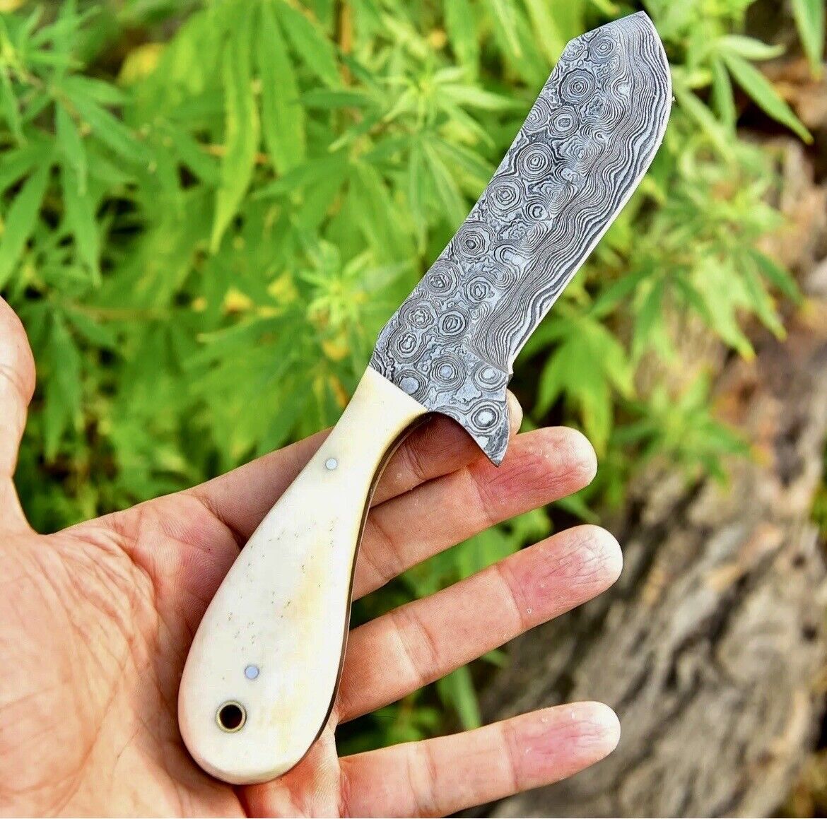 Gareth Bull Shamwari Inspired – 8" Artisan Damascus Knife with Camel Bone Handle & Leather Sheath - Korvel
