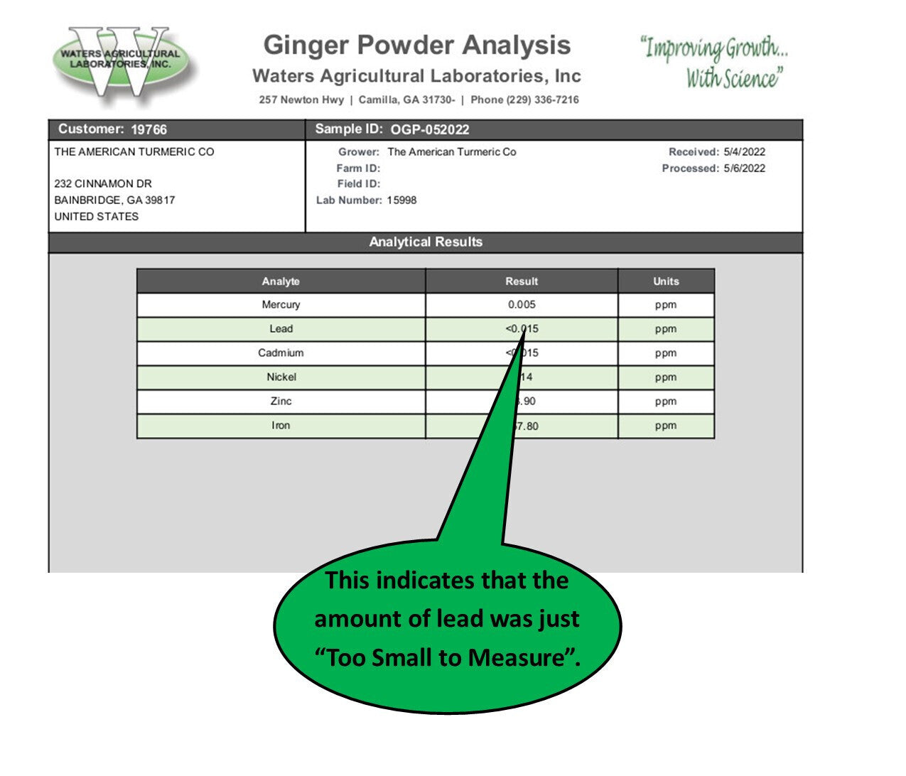 Ginger Powder - Naturally Grown and Lab Tested - Korvel