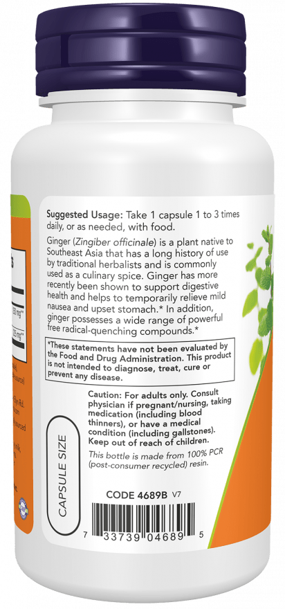 Ginger Root Extract 250 mg – Traditional Herbal Supplement