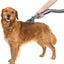 Pet Bed Brush Vacuum Attachment
