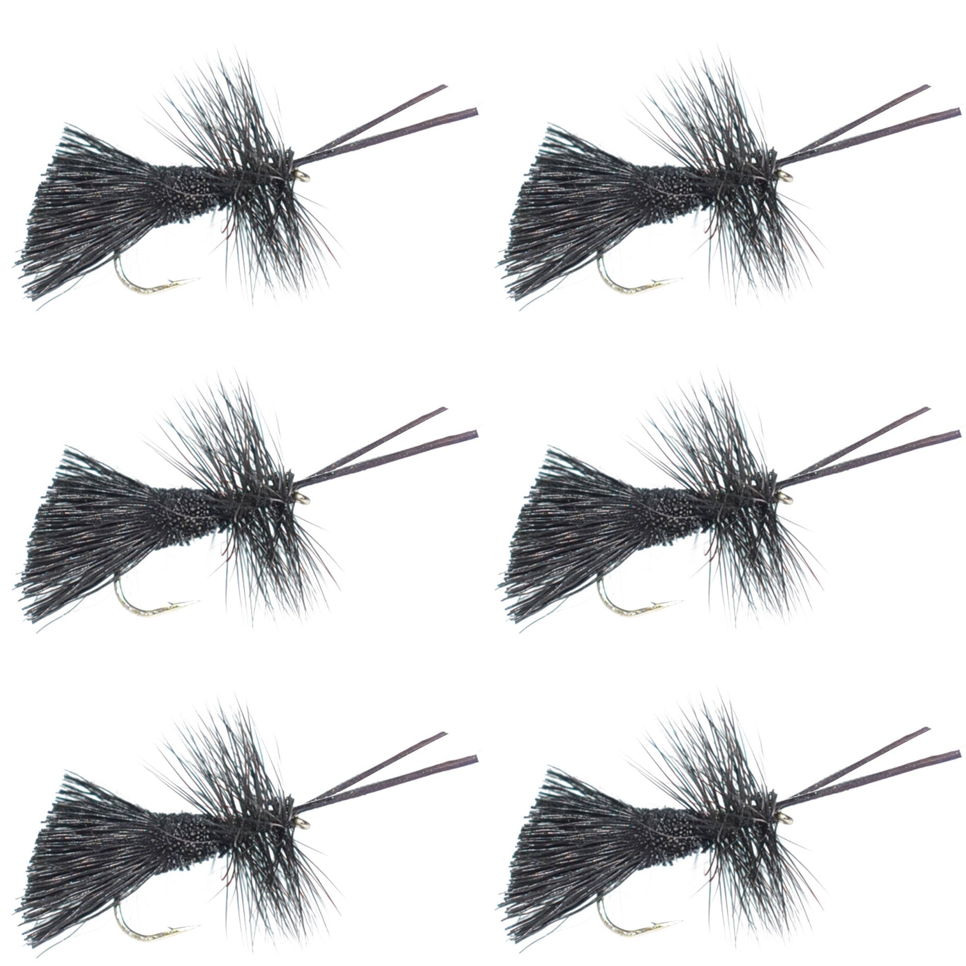 Goddard Caddis Black Dry Fly - Pack of 6, Size 12 Hooks - Korvel