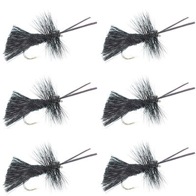 Goddard Caddis Black Dry Fly - Pack of 6, Size 12 Hooks - Korvel