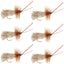 Goddard Caddis Dry Fly - Pack of 6, Size 16 Hooks for Ultimate Fishing Success - Korvel
