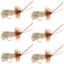 Goddard Caddis Dry Fly - Pack of 6, Size 12 - Korvel
