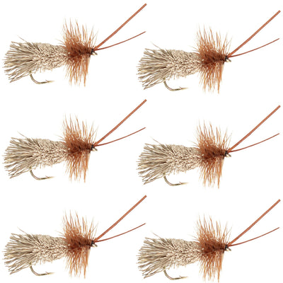 Goddard Caddis Dry Fly - Pack of 6, Size 12 - Korvel