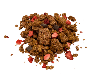 Nature's Path Dark Chocolate & Berry Granola Delight - Korvel