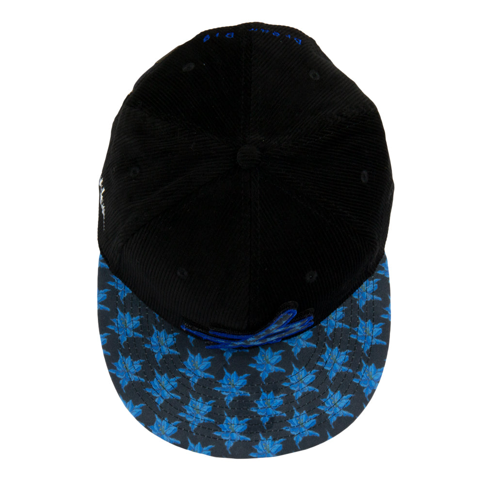 Casquette noire à dos réglable avec logo amovible Phlo Designs Columbine