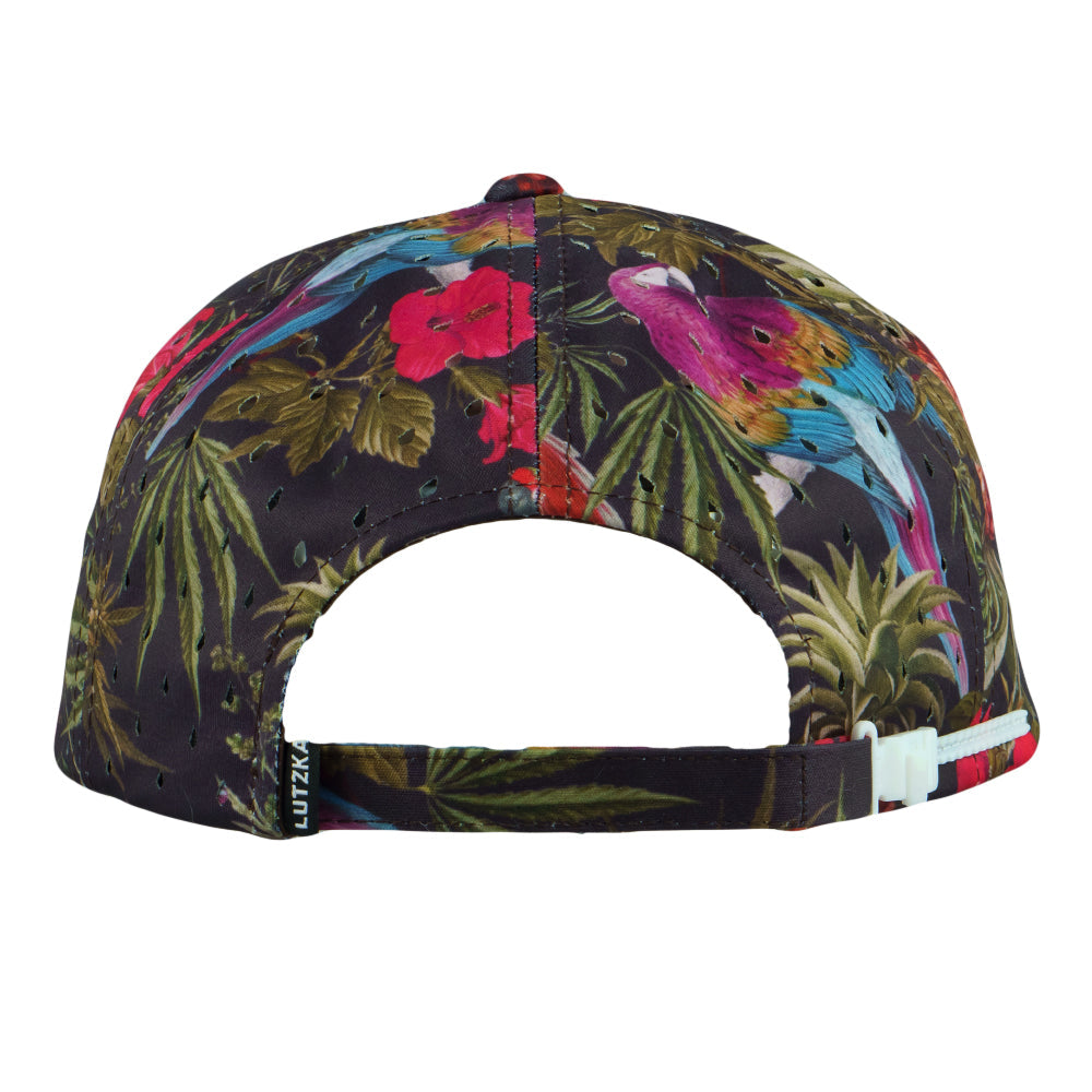 Gorra Zipperback Ganja Bahama Taffy de Greg Lutzka