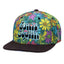 Gorra Ajustada Janis Joplin Daisies Arcoíris