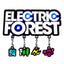 Electric Forest 2024 Icon LED Pin